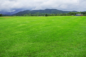 Lawn with sky background.
