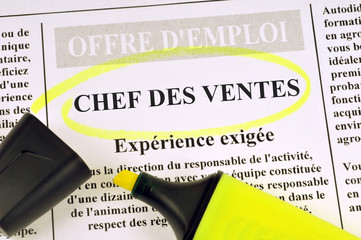 Offre d'emploi de chef des ventes