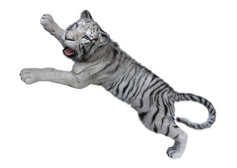 Obraz premium 3D Rendering White Tiger on White