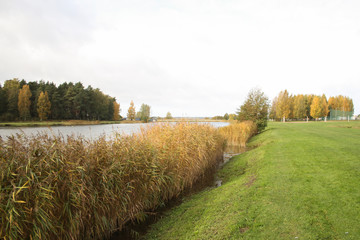 Countryside view of small pond near city.