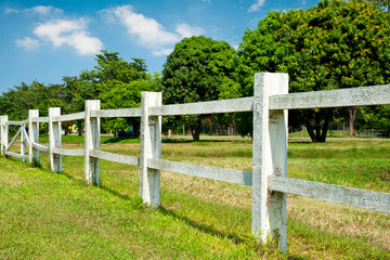 Fototapeta na wymiar livestock fences
