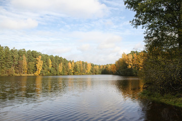 Fototapeta na wymiar Farmside view of small countryside lake in the middle of forest in autumn.