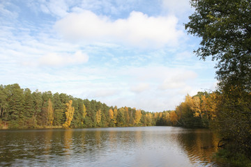 Farmside view of small countryside lake in the middle of forest in autumn.