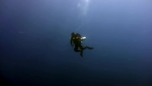 Silhouette of scuba diver swimming deep underwater in Red sea. World of colorful beautiful wildlife of reefs and algae. Relax and privacy. Abyssal diving.