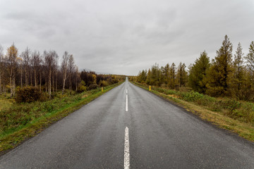 Iceland road 8