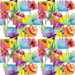 Wildflower poppy flower pattern in a watercolor style. Full name of the plant: poppy. Aquarelle wild flower for background, texture, wrapper pattern, frame or border.