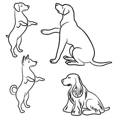 Obraz premium Set of four dogs