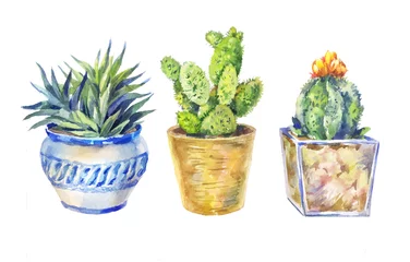 Foto op Plexiglas Cactus in pot set bloemen in potten, kamerplanten, aquarelillustratie