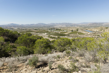 Views of the countryside of Monforte, Aspe and Novelda