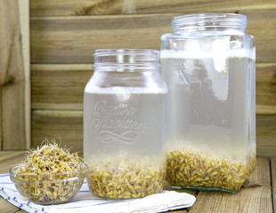 Rejuvelac, a very healthy drink