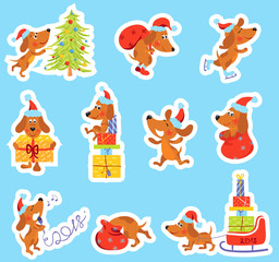 Set of Christmas, New Year stickers with cute dog