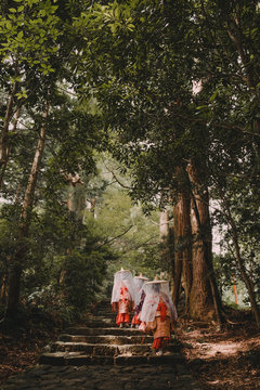 Monks walking in woods