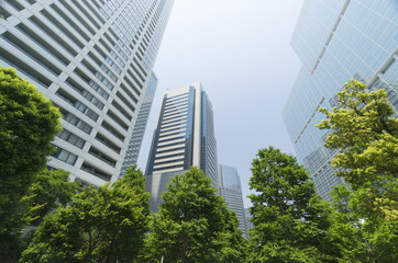 東京風景　品川高層ビル群　春　新緑