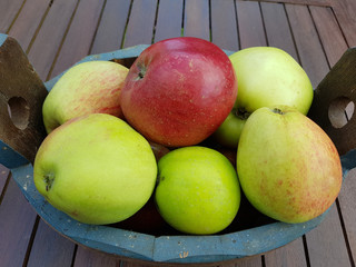 Alte Apfelsorten, verschiedene, Apfel, Malus, domestica