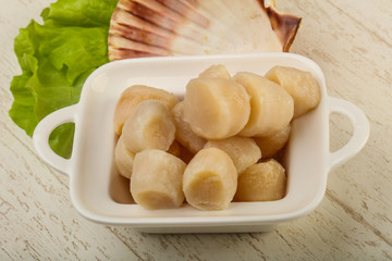 Raw scallops heap