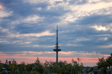 Fototapete bei efototapeten.de bestellen   