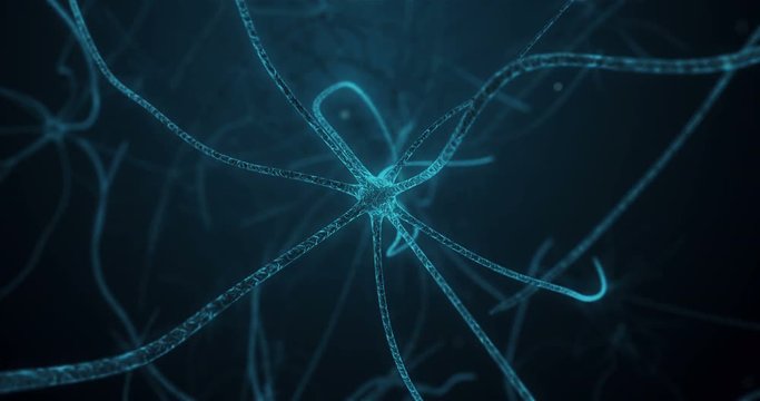 View of neuron center in process of synapse in neuron cell of neuronal human tissue