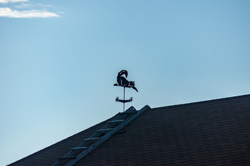 cat vane on the roof on blue sky background