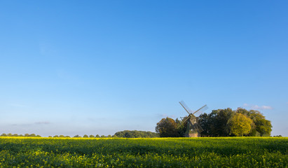 Quantwicker M&uuml;hle
