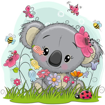 Cute Cartoon Koala on a meadow