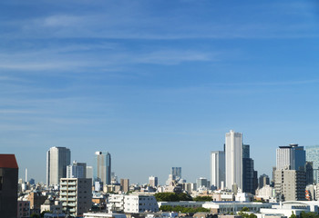 Fototapeta na wymiar 東京風景　新宿高層ビルと中野坂上
