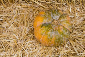 Country autumn decoration, autumn harvest background  