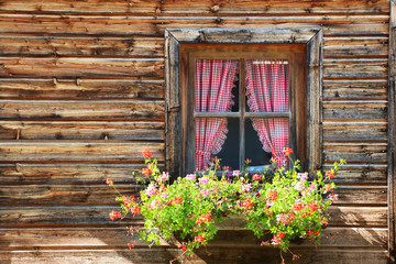 Fototapeta na wymiar Typical German window decorated with flowers 