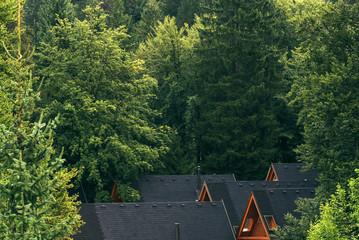 Wooden log cabins roofs in forest
