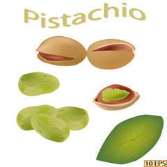 Pistachio nut. Pistachio nuts isolated on white background. Pistachio in realistic style. Vector illustration.