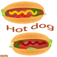 Hot dog with sausage. Delicious hot dog. Tasty hot dog with sausage, mustard and ketchup. Fast food. Vector illustration.