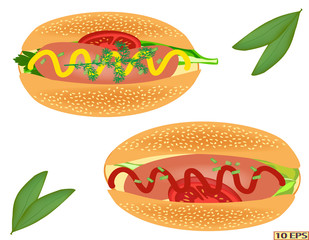 Hot dog with sausage. Delicious hot dog. Tasty hot dog with sausage, mustard and ketchup. Fast food. Vector illustration.