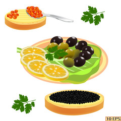 Red caviar and black. Salmon caviar and sturgeon caviar. Sandwich with caviar isolated on white background.  Vector illustration.