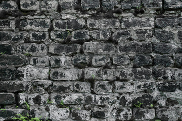 Brick wall in black and white