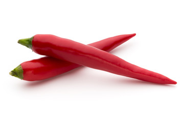Red chilli pepper isolated on a white background.