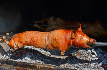grilled pig. roasted pork