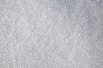 Macro shot from Snow.