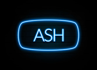 Ash  - colorful Neon Sign on brickwall
