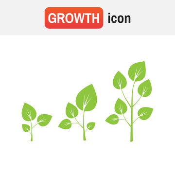 Growth tree sign vector. Tree growth diagram