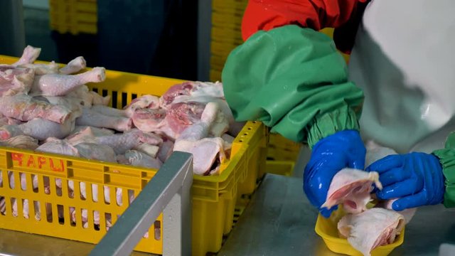 A worker places two chicken legs in one container. 