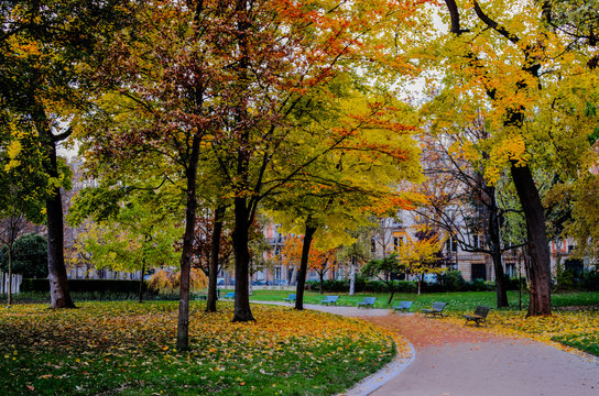 Parc Monceau en automne, Paris