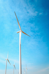 Wind turbine field for electricity generation.