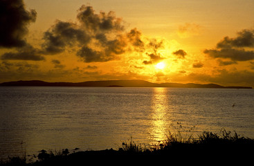 Torres Strait Islanders