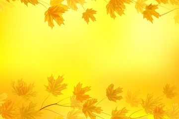 Autumn background with yellow leaves