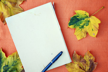 Autumn background with fall leaves and notebook