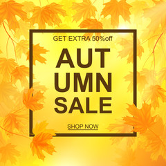 Fototapeta na wymiar Autumn sale banner, beautiful yellow falling leaves