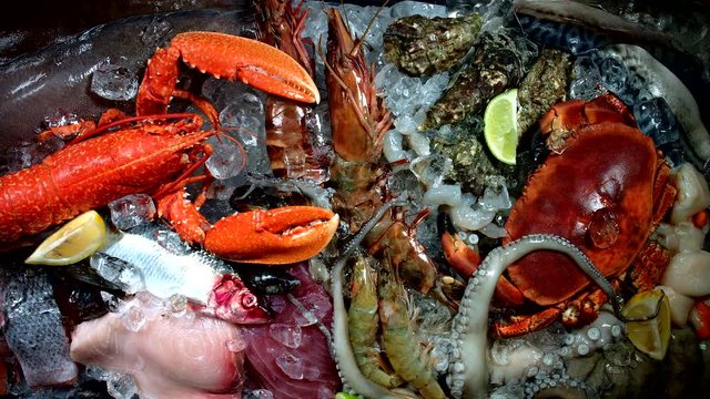 4k Fish and Seafood on Ice Mix, dolly shot