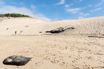 Fototapeta na wymiar Dune du Pyla (Bassin d'Arcachon, France), côté plage