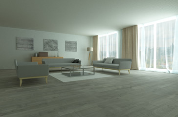 Modern gray sofas in large room