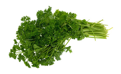 A bunch of curly parsley isolated on a white background.