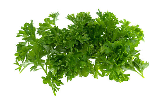 A portion of chopped curly parsley isolated on a white background.